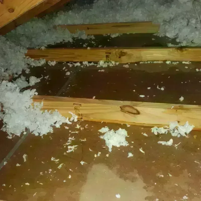 Attic Water Damage in Essex Village, CT